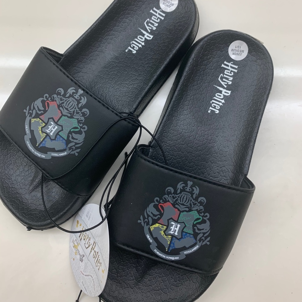 Harry Potter slides